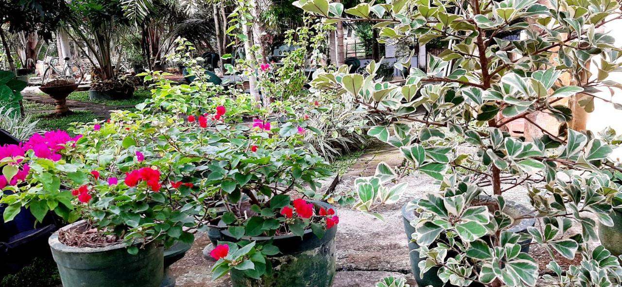 Hiriketiya Cinnamon Garden Диквелла Экстерьер фото