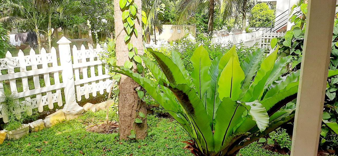 Hiriketiya Cinnamon Garden Диквелла Экстерьер фото