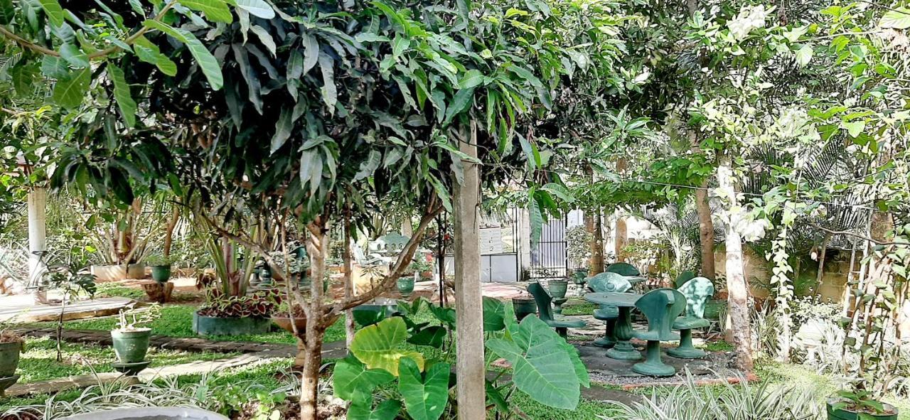 Hiriketiya Cinnamon Garden Диквелла Экстерьер фото