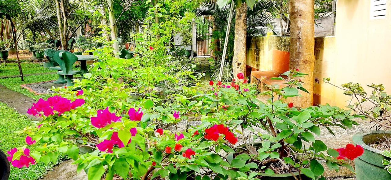 Hiriketiya Cinnamon Garden Диквелла Экстерьер фото