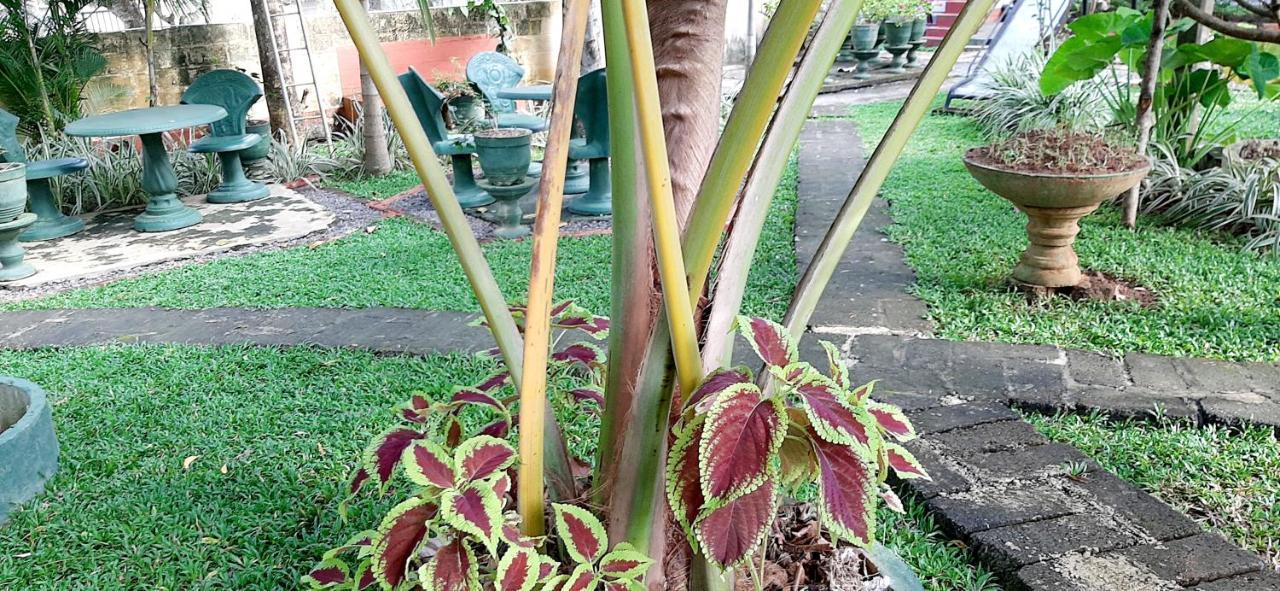 Hiriketiya Cinnamon Garden Диквелла Экстерьер фото