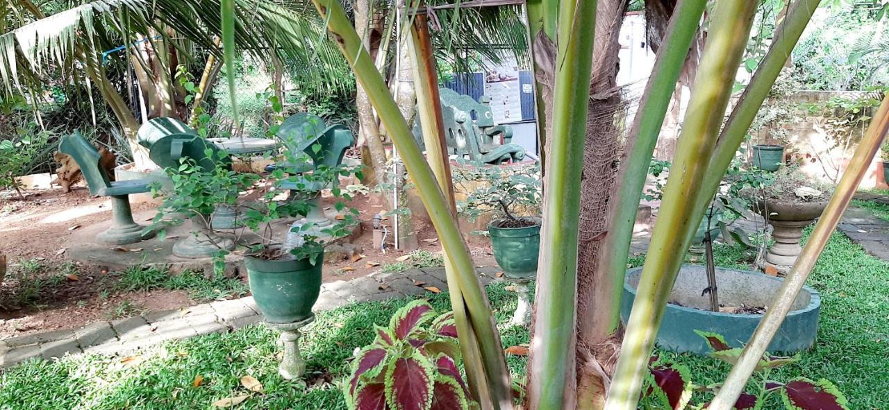 Hiriketiya Cinnamon Garden Диквелла Экстерьер фото