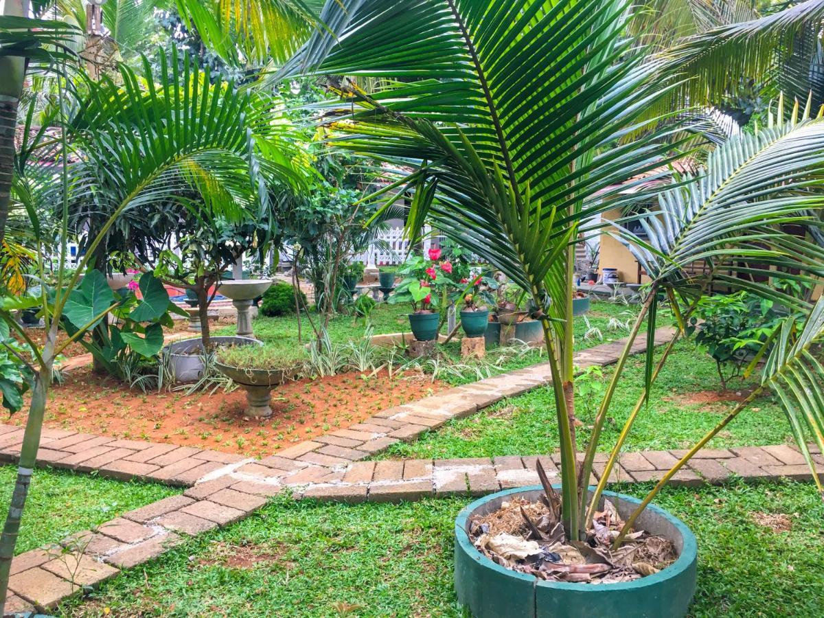 Hiriketiya Cinnamon Garden Диквелла Экстерьер фото